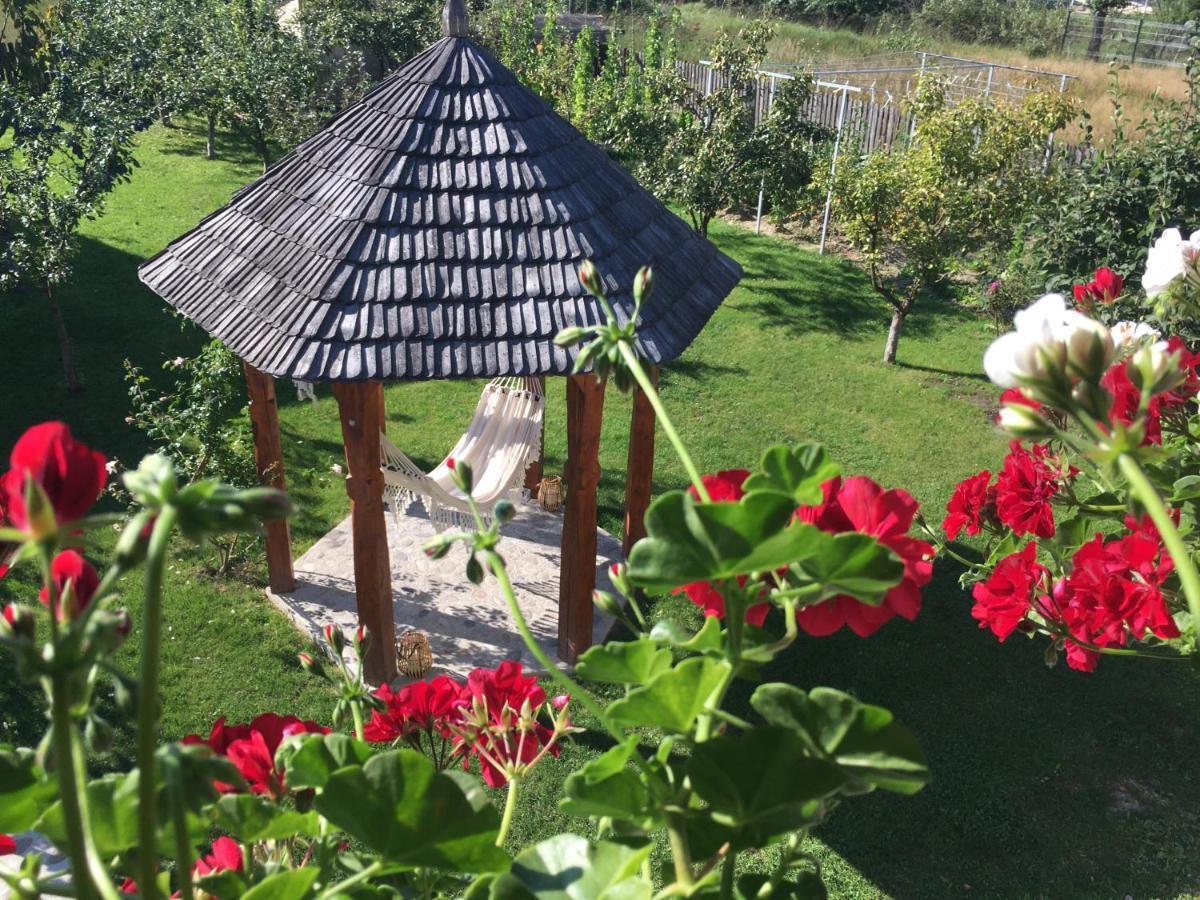 Casa Moldovan Ocna Sugatag Luaran gambar