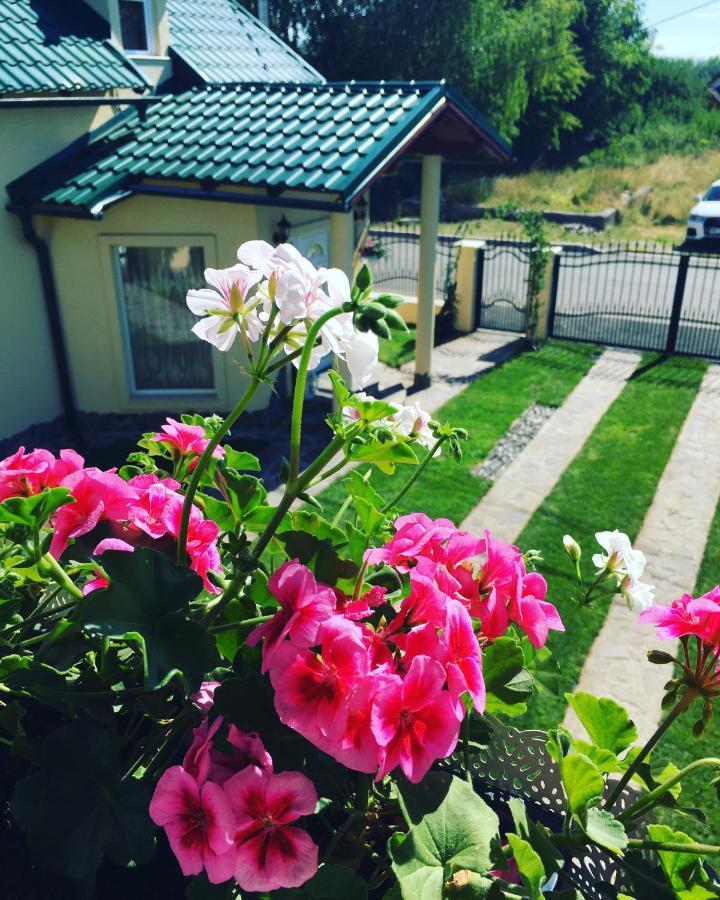 Casa Moldovan Ocna Sugatag Luaran gambar