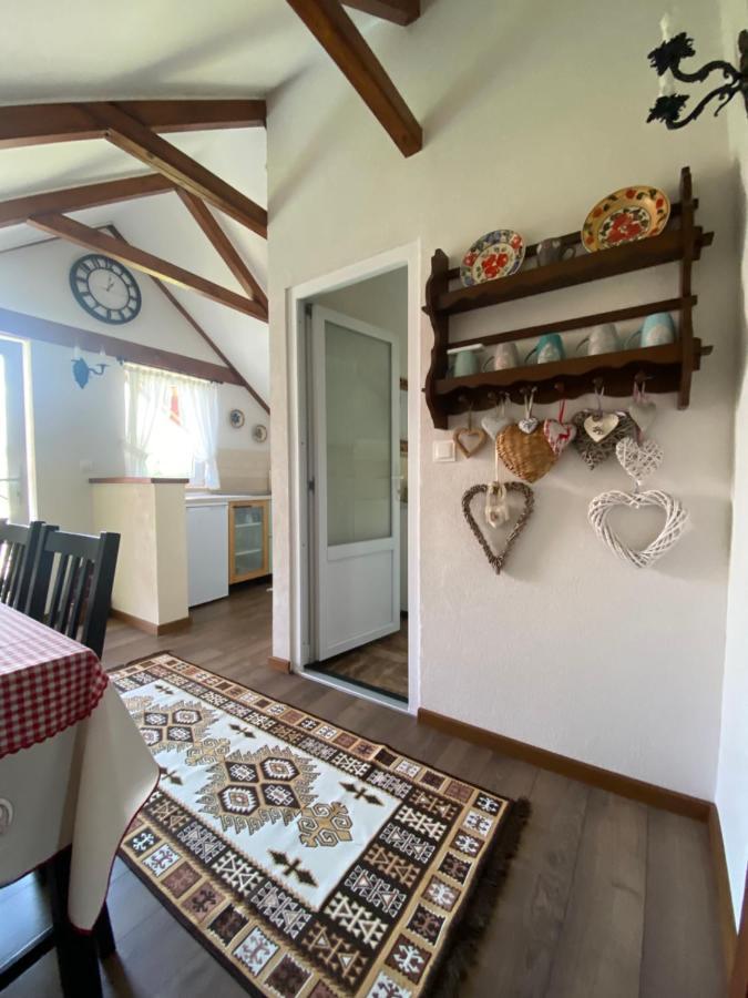 Casa Moldovan Ocna Sugatag Luaran gambar