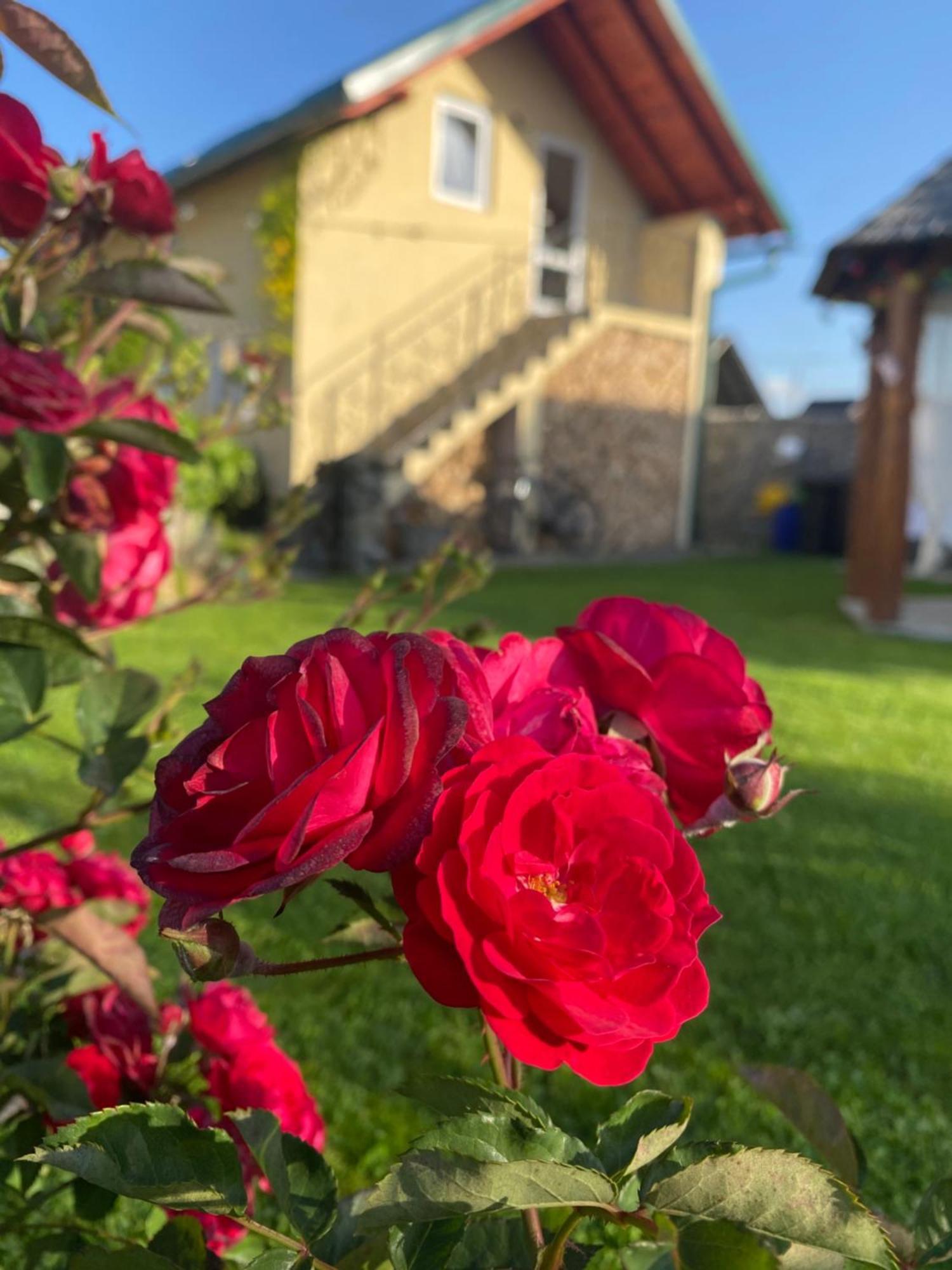 Casa Moldovan Ocna Sugatag Luaran gambar