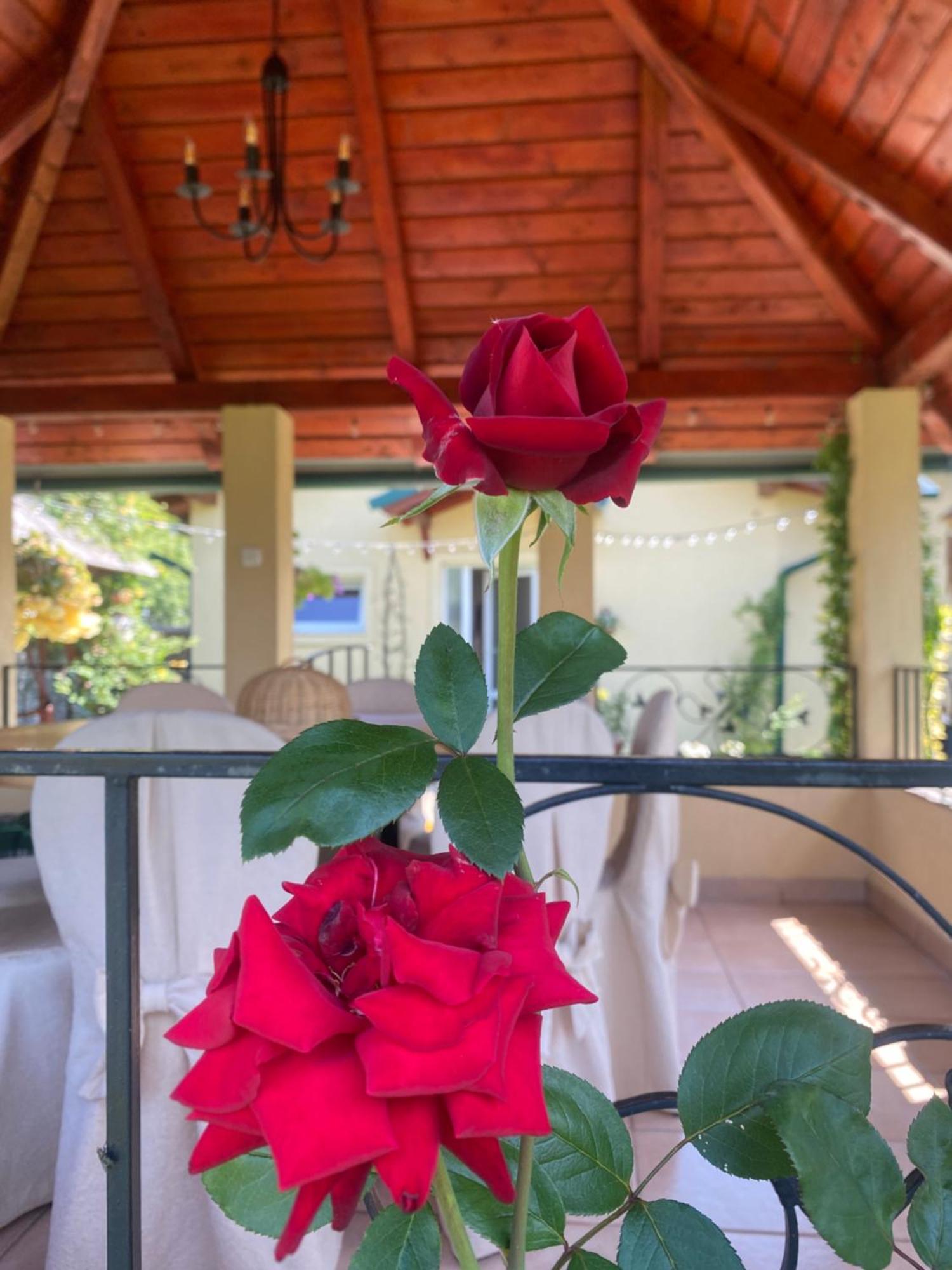 Casa Moldovan Ocna Sugatag Luaran gambar